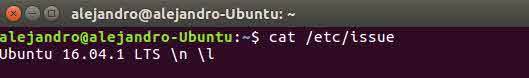 como-ver-la-versic3b3n-de-linux-desde-el-terminal